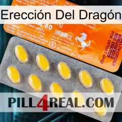 Erección Del Dragón new05